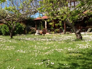 El jardín en primavera - ALBERGUE LLANES PLAYA DE POO
